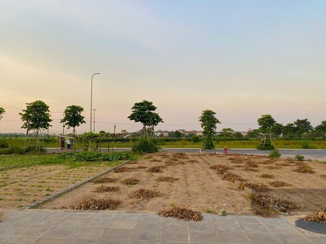 Bất ngờ mức tăng giá đất nền, chung cư trong 5 năm qua