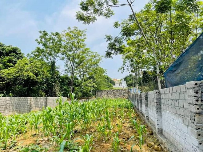 Đất nền tách thửa tăng nhiệt, hút dòng tiền nhỏ lẻ