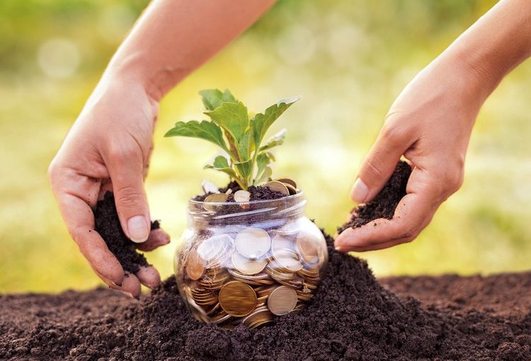 Những trường hợp nào sẽ được giảm 50% tiền sử dụng đất theo quy định mới nhất hiện nay?